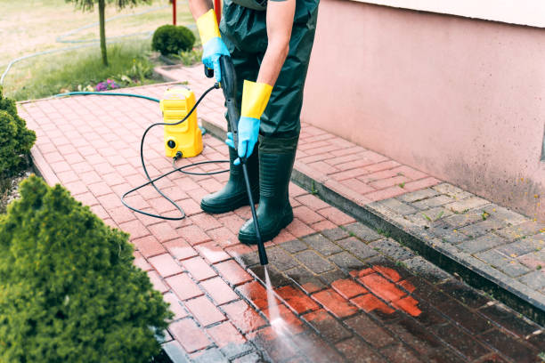 Best Driveway Pressure Washing  in Kaaawa, HI